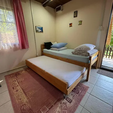 Dom wakacyjny Vikendica Vucetic Loznica *