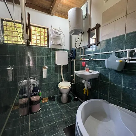 Vikendica Vucetic Loznica Budimlija