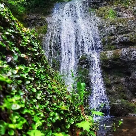 Vikendica Vucetic Loznica *