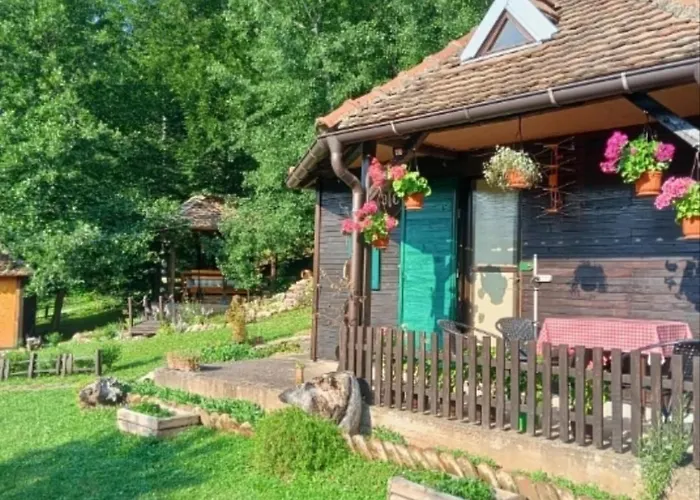 Vikendica Vucetic Loznica 別荘 Budimlija