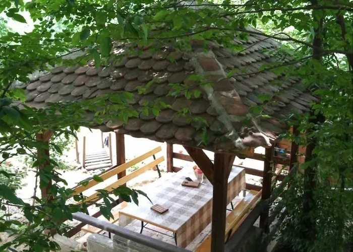 Vikendica Vucetic Loznica 別荘 *