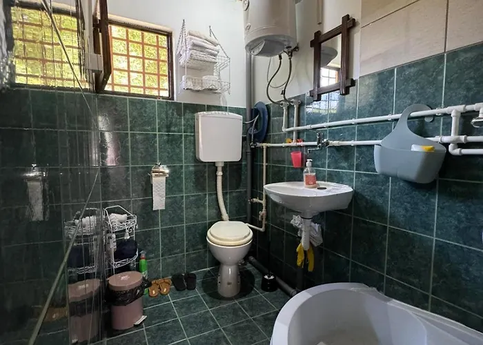 Vikendica Vucetic Loznica Budimlija