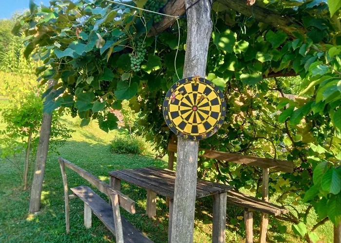 Vikendica Vucetic Loznica 別荘 *