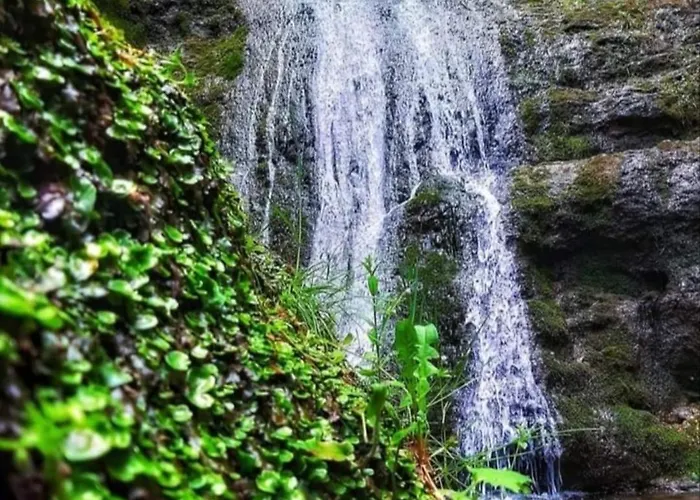 Vikendica Vucetic Loznica *